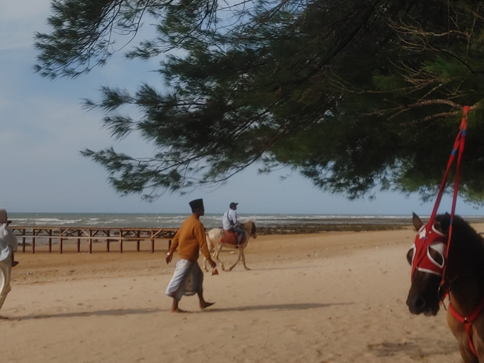 Wahana Berkuda